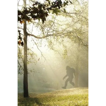 Finding Bigfoot and Other Stories - Paperback