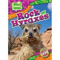 Rock Hyraxes - Library Binding