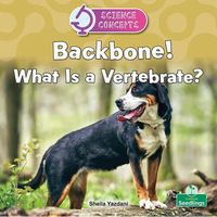 Backbone! What Is a Vertebrate? - Paperback