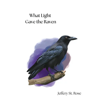 What Light Gave the Raven - Paperback