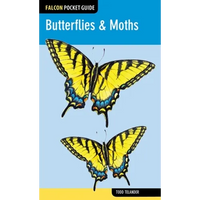 Butterflies & Moths - Paperback