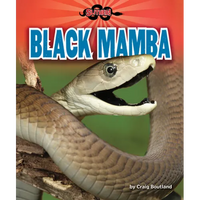 Black Mamba - Library Binding