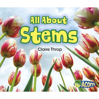All about Stems - Paperback