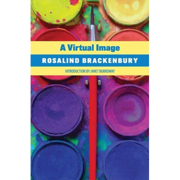 A Virtual Image - Paperback