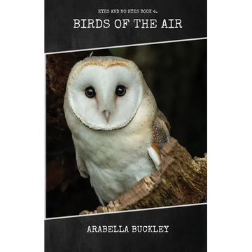 Birds of the Air - Paperback
