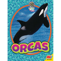Orcas