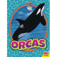 Orcas - Paperback