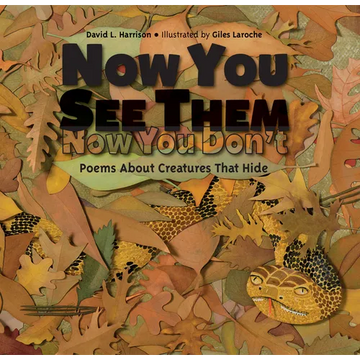 Now You See Them, Now You Don't: Poems about Creatures That Hide - Paperback