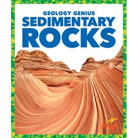 Sedimentary Rocks - Library Binding