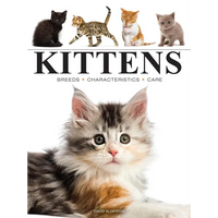 Kittens - Paperback