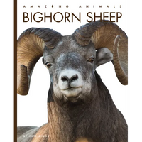 Bighorn Sheep - Paperback