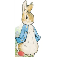 All about Peter - Board Book