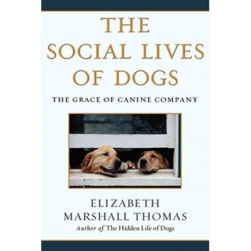 The Social Lives of Dogs: The Grace of Canine Company - Paperback