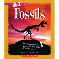 Fossils (a True Book: Earth Science) - Paperback