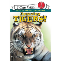 Amazing Tigers! - Paperback