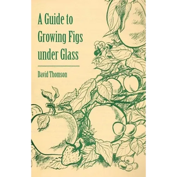 A Guide to Growing Figs Under Glass - Paperback