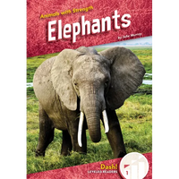 Elephants - Library Binding