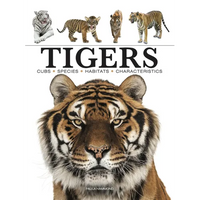 Tigers - Paperback