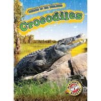 Crocodiles - Library Binding
