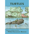 Turtles