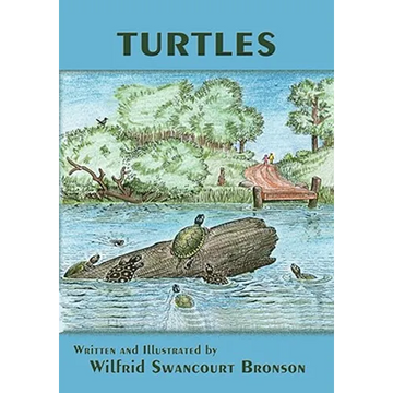 Turtles - Paperback