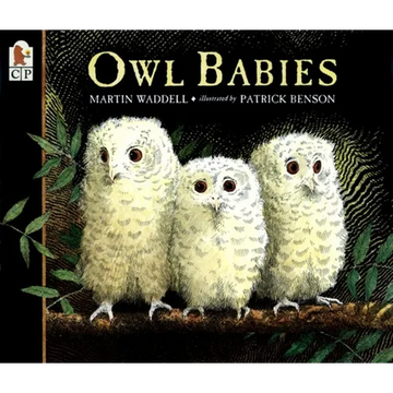 Owl Babies - Paperback