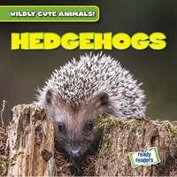 Hedgehogs - Paperback