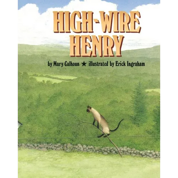 High-Wire Henry - Paperback