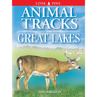 Animal Tracks of the Great Lakes - Paperback