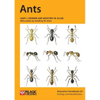 Ants - Paperback