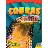 Cobras - Paperback