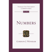 Numbers: An Introduction and Commentary Volume 4 - Paperback