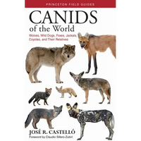 Canids of the World: Wolves, Wild Dogs, Foxes, Jackals, Coyotes, and Their Relatives - Paperback