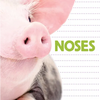 Noses - Paperback