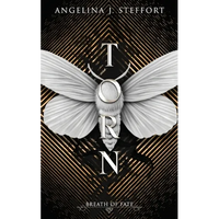 Torn - Paperback