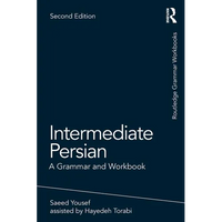 Intermediate Persian: A Grammar and Workbook - Paperback