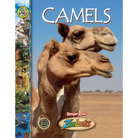Camels - Library Binding