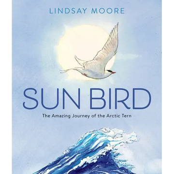 Sun Bird: The Amazing Journey of the Arctic Tern - Hardcover