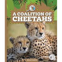 A Coalition of Cheetahs - Library Binding