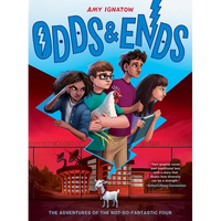 Odds & Ends (the Odds Series #3) - Paperback
