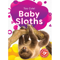 Baby Sloths - Library Binding