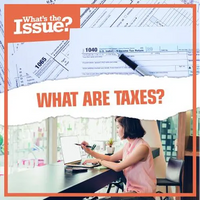What Are Taxes? - Library Binding