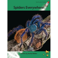 Spiders Everywhere! - Paperback