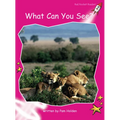 What Can You See?