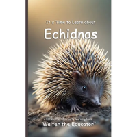 It's Time to Learn about Echidnas - Paperback