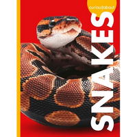 Curious about Snakes - Paperback