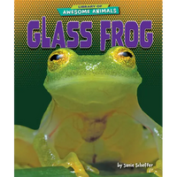 Glass Frog - Paperback