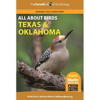 All about Birds Texas and Oklahoma - Paperback