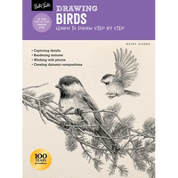 Drawing: Birds: Learn to Draw Step by Step - Paperback