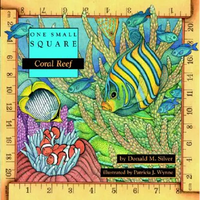 Coral Reef - Paperback